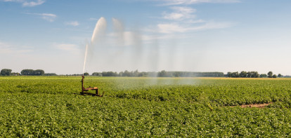 aardappelen aardappelperceel droogte beregening