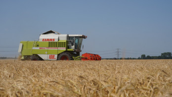 combine gerst brouwgerst gerstoogst zomergerst