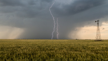 regen donkere wolken tarwe