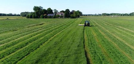 gras grasland maaien ruwvoer kuilgras