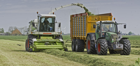 gras grasland melkveebedrijf ruwvoer hakselen hakselaar