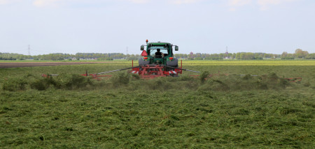 gras grasland melkveebedrijf schudden grasoogst