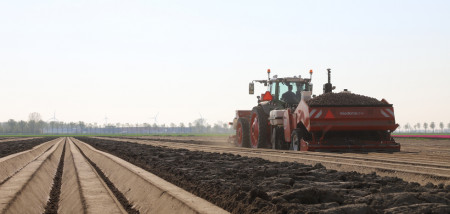 aardappelen pootgoed Zuid-Holland aardappelen poten