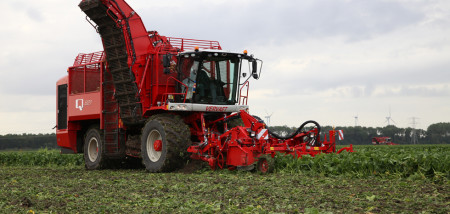 rooien suikerbieten bietenoogst Vervaet aardappelrooier