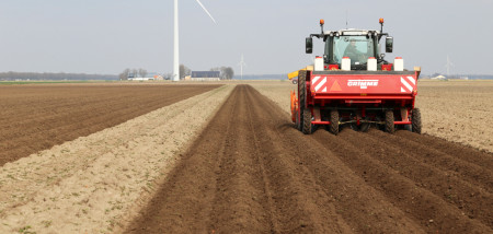 aardappelen poten