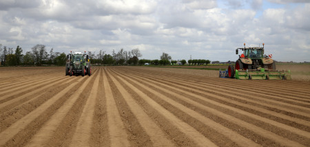 pootgoed aardappelen poten