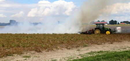 aardappelen loofdoding biologisch branden