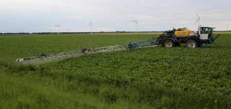 suikerbieten spuiten gewasbescherming