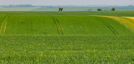 frankrijk graan - agri