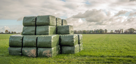 ruwvoer grasbalen