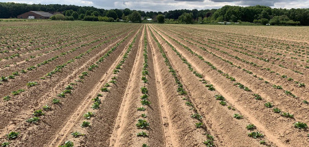 aardappelen Gewastour2020