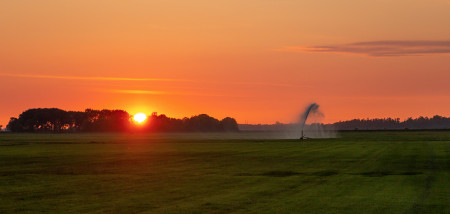 gras grasland beregening