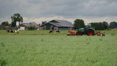 maaien koeienstal grasoogst twente