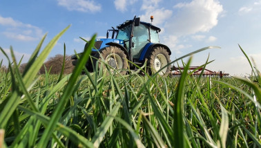 grasland eggen voorjaarswerkzaamheden