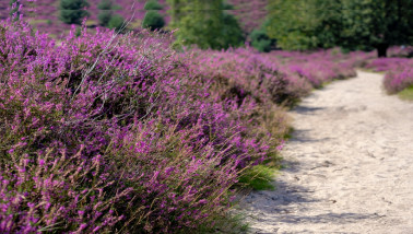 natuur Boerenbusiness