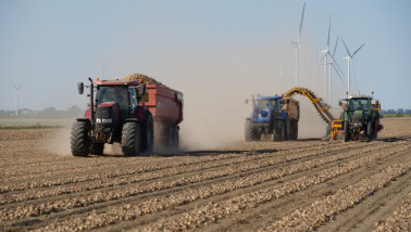 uien uienoogst biologisch uien laden