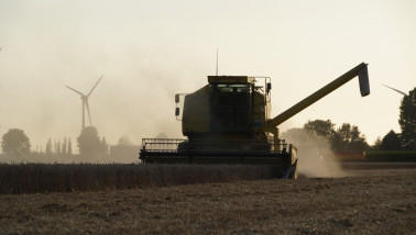 graanoogst combine tarweoogst