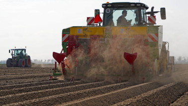 aardappelen poten