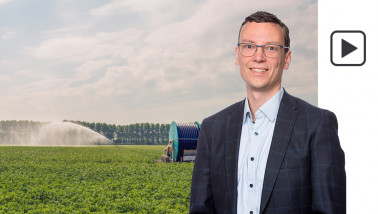 aardappelen droogte beregenen