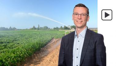 aardappelen droogte beregenen