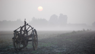 aardappelen mist aardappelrooier