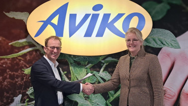 Aviko