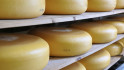 Maaz Cheese vergroot capaciteit met kwart 