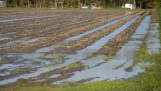 regen nat neerslag