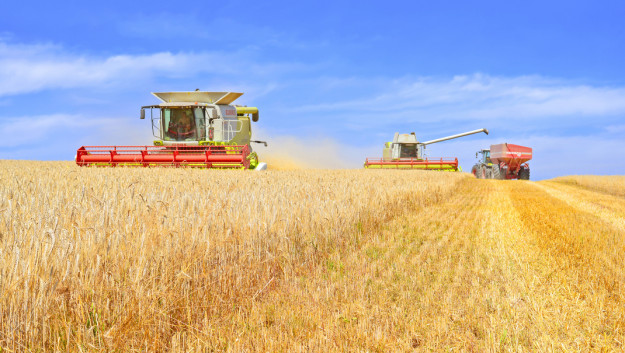 Akankah pertanian Ukraina didorong dengan reformasi?  – Latar belakang pasar tanah